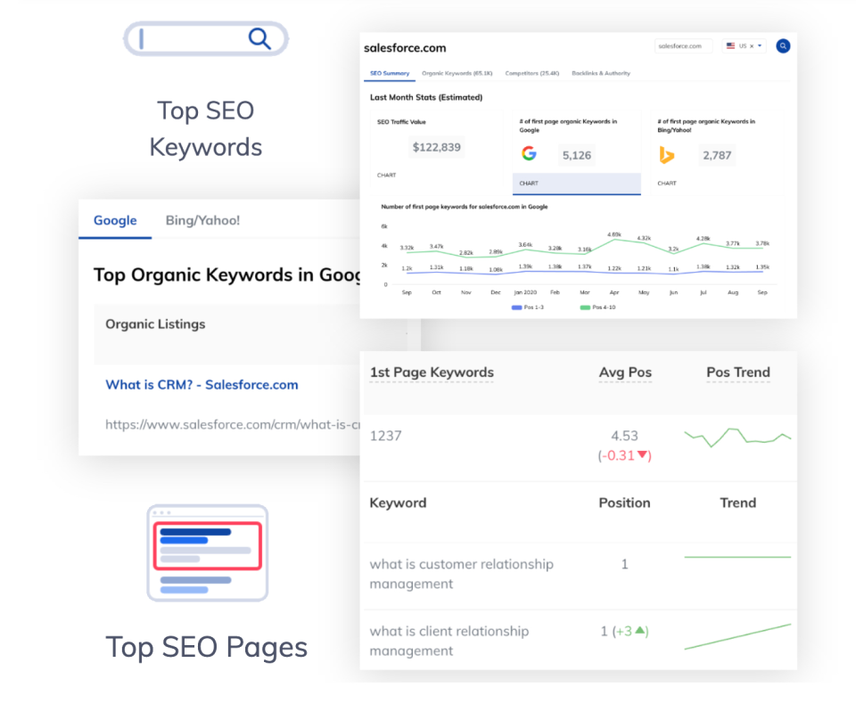 screenshot of Raven Tools